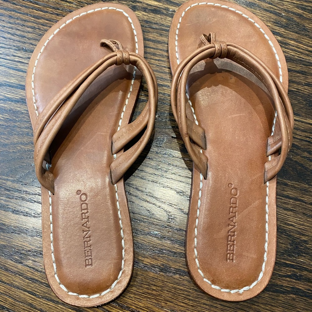 Bernardo Women's Miami Thong Sandal
Luggage Leather